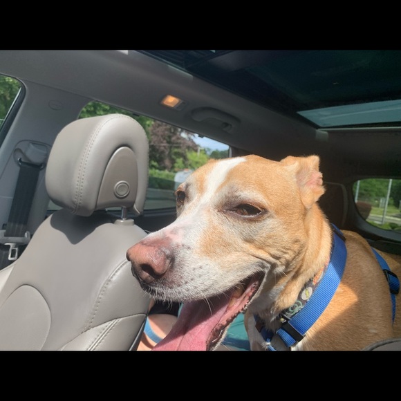 Meet your Posher, Cheryl - Picture 7 of 7